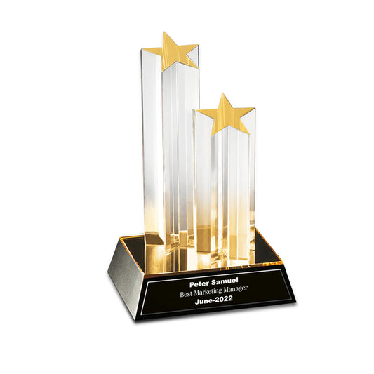 Customized Crystal Trophy with Matter Printed For Corporate Gifting