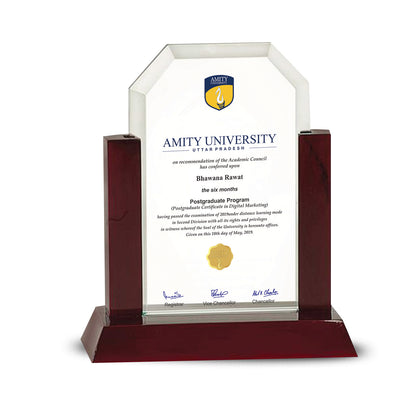 Customized MDF Base Acrylic Trophy with Matter Printed For University Students