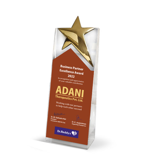 Customized Acrylic Trophy with Matter Printed & Metal Star For Corporate Gifting