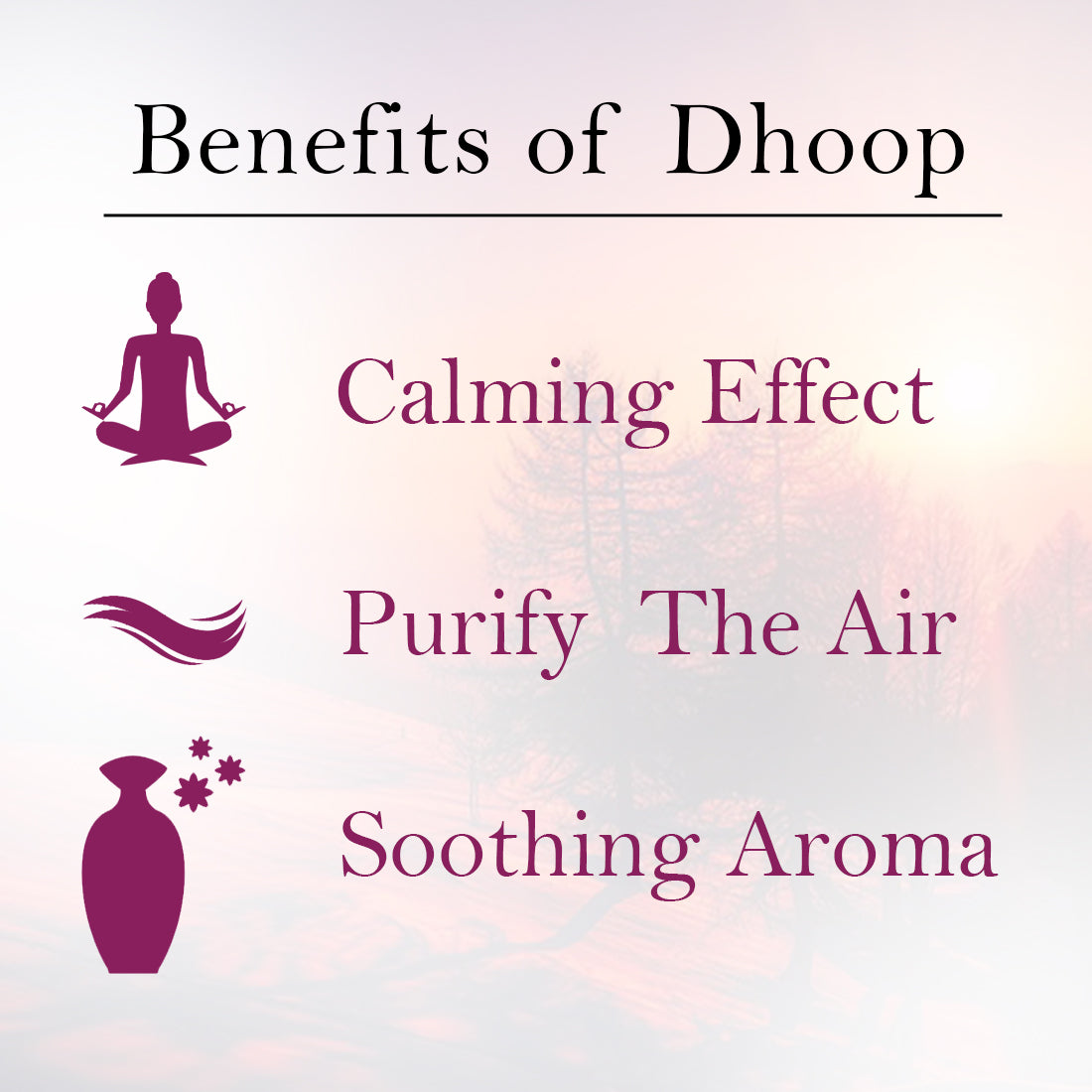 Diviniti Dhoop Sticks for Pooja| Organic Dhoop Sticks with Rich Fragrance| Traditional Aroma| Toxin-Free, 100% Natural (Pack of 10 X12)